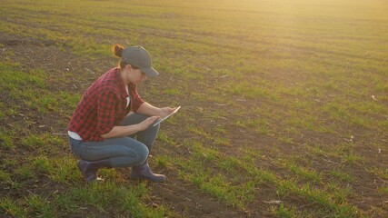 A girl farmer with a tablet in her hand sits in the field and analyzes the shoots, the concept of the business agricultural activity, preparing the land for fertilization and mineralization