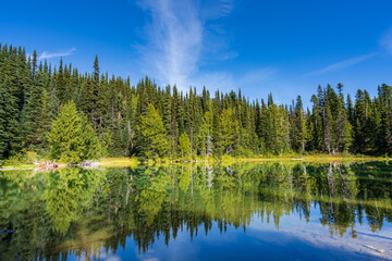 Obraz premium Palisades Lake Trail At Mount Rainier National Park