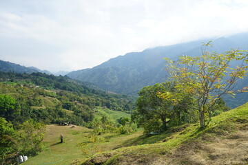 Fototapeta na wymiar Natural scenery and mountains around Mount Nona in Enrekang Regency, Indonesia