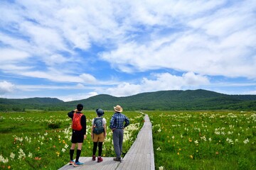 Fototapeta premium 初夏の花々を楽しむハイカー 