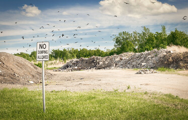 landfill with birds flying overhead in the summer time.