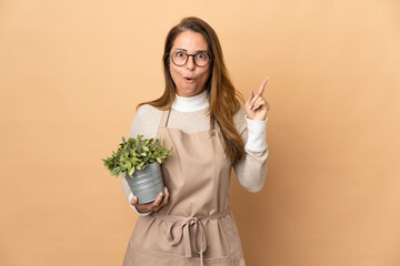 Middle age gardener woman holding a plant isolated on beige background intending to realizes the solution while lifting a finger up