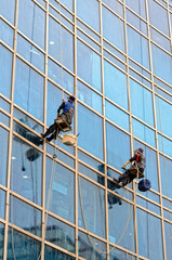 window washers hang on the glass wall of the building