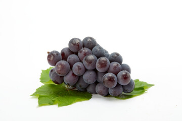 신선하고 맛있는 켐벨포도와 청포도