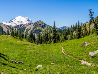 Hiking trail in Mount Rainier National Park