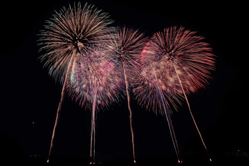 古河花火大会「大輪の菊・田熊火工」