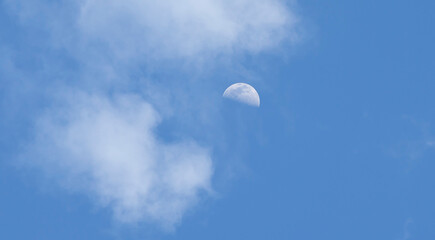 moon in the sky