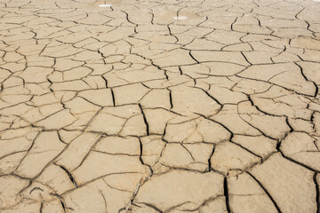 dried crack land