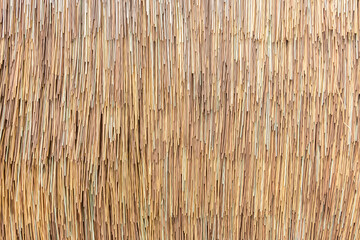 dry small bamboo background