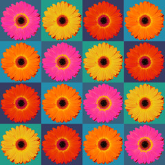 red yellow orange and pink gerbera flower pattern for background or graphic resource