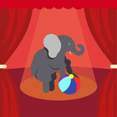A baby circus elephant playing big ball. Elephant mascot show vector illustration for advertising banner, social media, poster. Cute animal circus show.