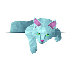 Polygonal vector illustration of a domestic gray cat isolated on a white background. Advertising space. EPS 8