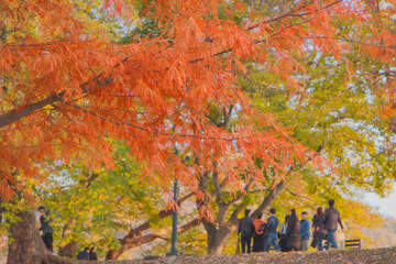 가을 단풍 구경을 하는 사람들