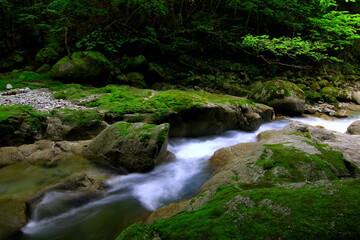 清涼感のイメージ-渓谷の流れ