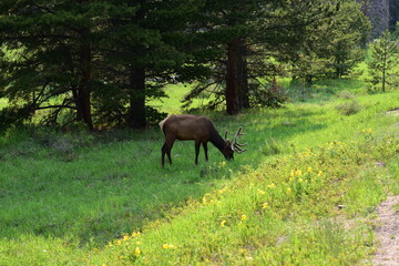 Rocky Mountain National Park 