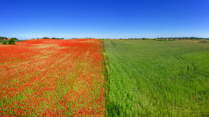 Widok na pola Warmii z lotu ptaka © Janusz Lipiński