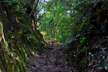 Fototapeta premium 次郎丸岳「登山道」