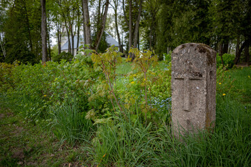 gravemark in green abandoned cemetery. Old grave place in old latvian graveyard in countryside. Green spring bushes and big old trees in background. Northern european landscape