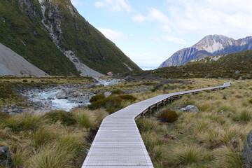 field and mountains landscape, Hooker Valley track,New zealand Oct 2014