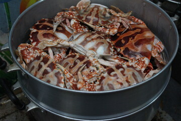 Sea crab boiled