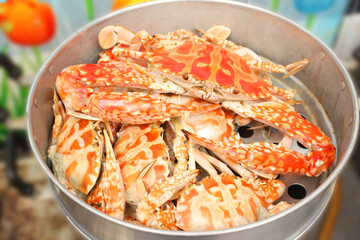 Sea crab boiled