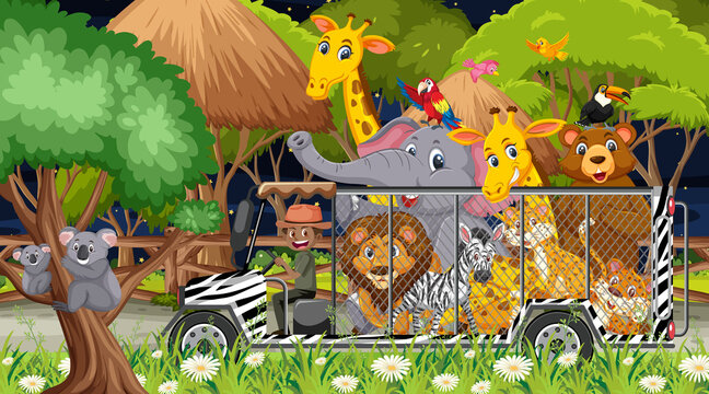 Safari at night scene with animals in the cage car