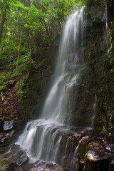 Obraz premium 百貫の滝