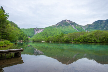 長野県　新緑の大正池