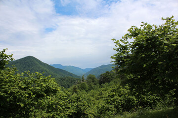 The Caucasus mountains, covered with forest. Russia.