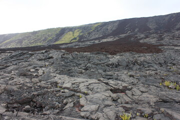 ハワイ島（ビッグアイランド）溶岩に覆われた海岸（黒砂海岸）