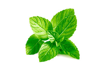 Mint leaves, mint leaves isolated on white background © คเณศ จันทร์งาม