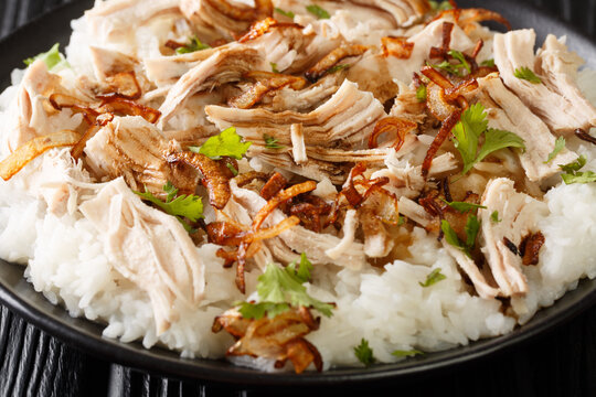 Hirshon Jiayi Taiwanese Turkey Rice closeup in the plate on the table. Horizontal