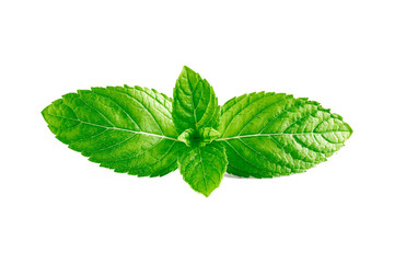 Mint leaves, mint leaves isolated on white background