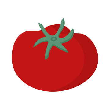 Delicious tomato on a white background for use in web design or clipart