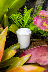 white paper cup of coffee in the beautiful nature with soft focus and over light in the background. mockup and templates to create greeting, cards, magazines, cover, poster and banners.