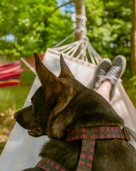 me and my dog on hammock