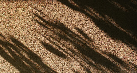 Fototapeta na wymiar Shadows from leaves on an orange textured wall