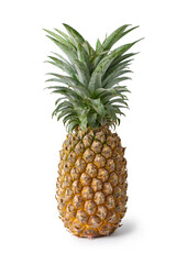 Pineapple isolated on white background, clipping path.