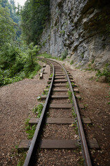 Obraz premium railway in the forest, summer in the rainforest