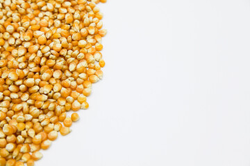 Corn close up detail. Space for logo or business card.