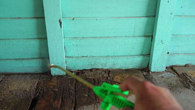 Termite control technicians use equipment and solutions to kill termites infested wood.	with a brush