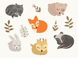 Cartoon forest characters collection. Sleeping Animal cute baby teddy bear, fox, deer, bunny, raccoon, badger. Cute Doodle stickers. Hand drawn shirt print design vector illustration.