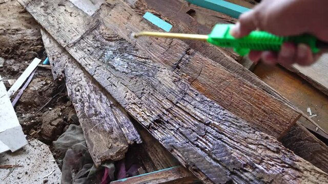 Termite control technicians use equipment and solutions to kill termites infested wood.