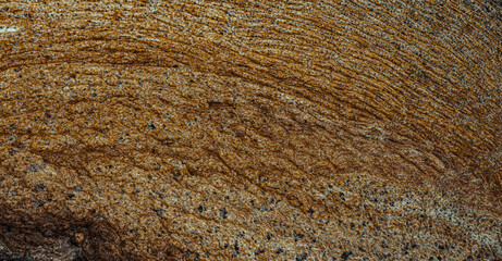 Dirty foam on the river water surface