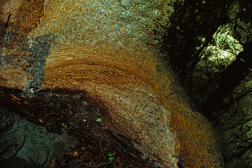 Dirty foam on the river water surface