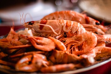 Tray of exquisite prawns and lobsters. Seafood tray. Tray of Norway lobsters, langoustine, dublin bay prawns