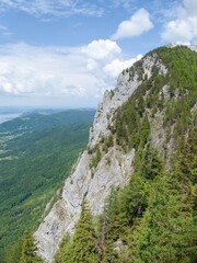 beautiful summer nature in austrian alps