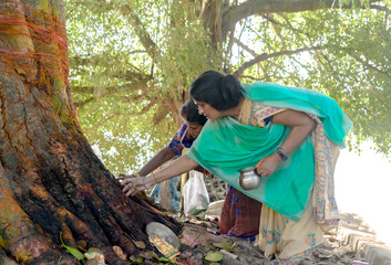 Beautiful photo of middle aged Indian women worshipping tree after tying it with holy red thread and taking blessings from it as they take part in century old rituals of praying to holy Peepal tree.