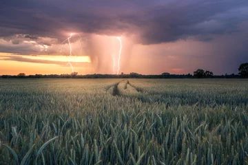 Fototapeten Blitzeinschlag bei einem Sommergewitter bei Sonnenuntergang bei Rastatt Plittersdorf © Markus Semmler