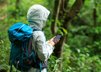 Woman hiker using smartphone in spring forest